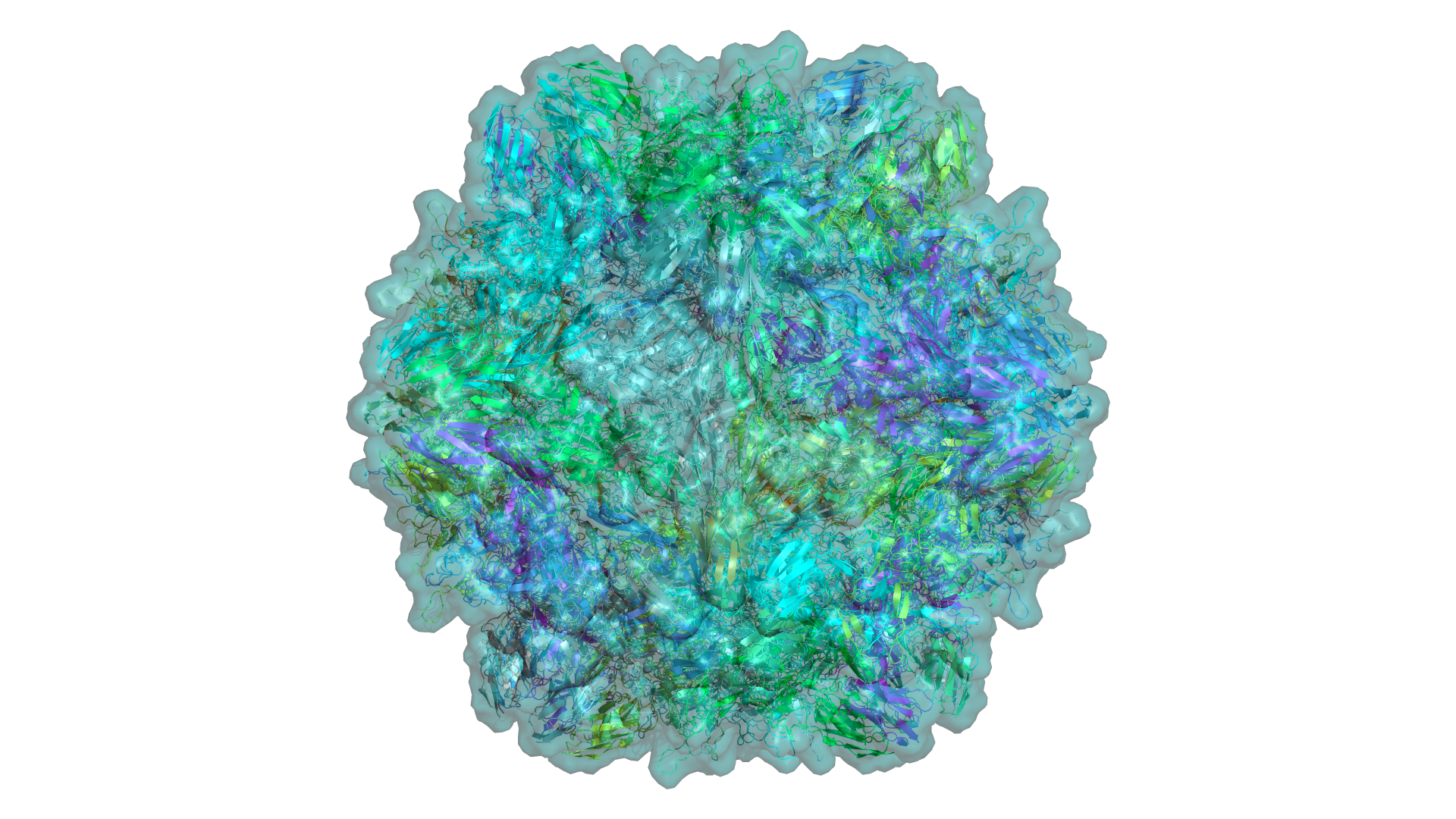 Molecular complex rendered in Patinae — cartoon representation with transparent surface, colored by chain